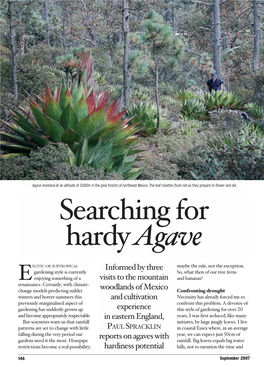 Searching for Hardyagave