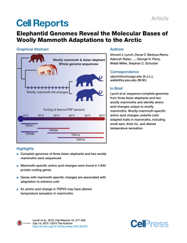 Elephantid Genomes Reveal the Molecular Bases of Woolly Mammoth Adaptations to the Arctic