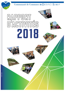 Rapport D Activite 2018