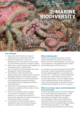 Chapter 2 Marine Biodiversity