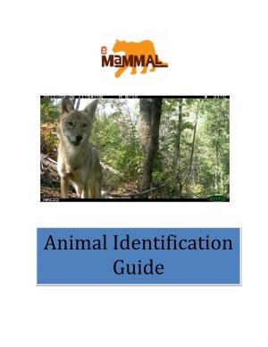 Emammal Animal Identification Guide