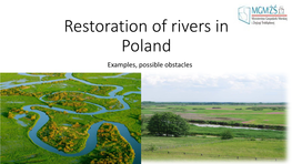 Polish Experiences River Restoration
