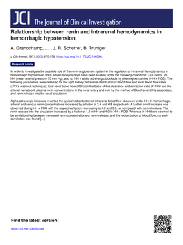 Relationship Between Renin and Intrarenal Hemodynamics in Hemorrhagic Hypotension