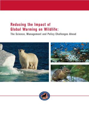Reducing the Impact of Global Warming on Wildlife