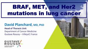 BRAF, MET, and Her2 Mutations in Lung Cancer