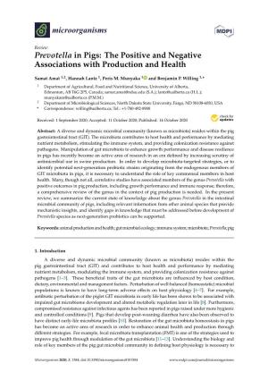 Prevotella in Pigs: the Positive and Negative Associations with Production and Health