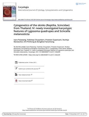 Cytogenetics of the Skinks (Reptilia, Scincidae) from Thailand; IV: Newly Investigated Karyotypic Features of Lygosoma Quadrupes and Scincella Melanosticta