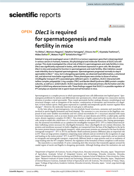 Dlec1 Is Required for Spermatogenesis and Male Fertility in Mice