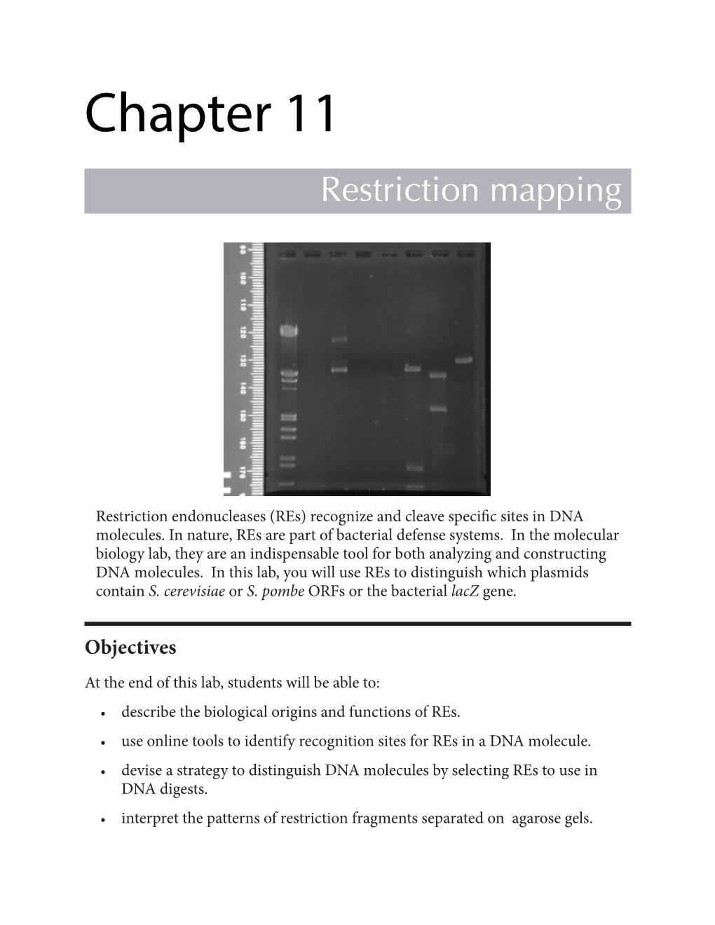 Chapter 11 Restriction Mapping