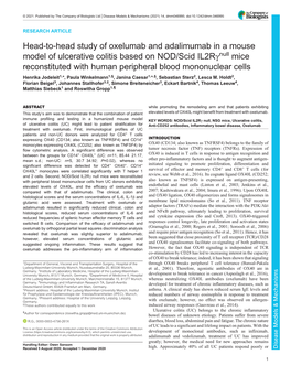 Head-To-Head Study of Oxelumab and Adalimumab in a Mouse Model of Ulcerative Colitis Based on NOD/Scid Il2rγ&lt;Sup&gt;Null&lt;