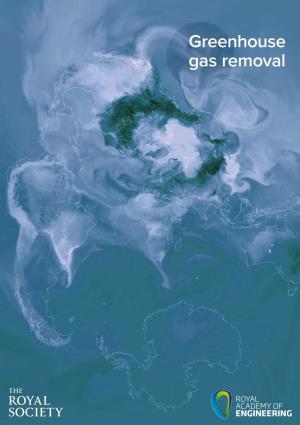 Royal Society: Greenhouse Gas Removal (Report)