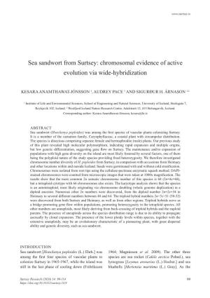 Sea Sandwort from Surtsey: Chromosomal Evidence of Active Evolution Via Wide-Hybridization