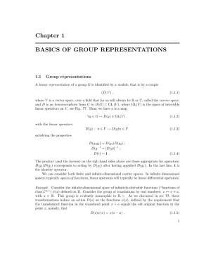 Chapter 1 BASICS of GROUP REPRESENTATIONS