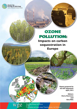 OZONE POLLUTION:POLLUTION: Impacts on Carbon Sequestration in Europe