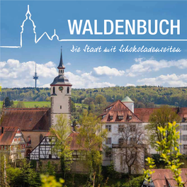 Strom Für Waldenbuch