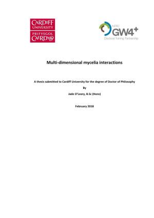 Multi-Dimensional Mycelia Interactions
