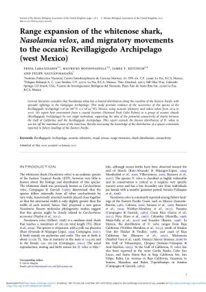 Range Expansion of the Whitenose Shark, Nasolamia Velox, and Migratory Movements to the Oceanic Revillagigedo Archipelago