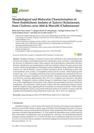 Morphological and Molecular Characterization of Three Endolichenic Isolates of Xylaria (Xylariaceae), from Cladonia Curta Ahti &