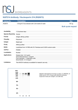 NUP214 Antibody / Nucleoporin 214 (RQ5673)