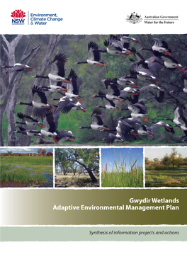 Gwydir Wetlands Adaptive Environmental Management Plan