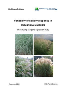Variability of Salinity Response in Miscanthus Sinensis