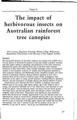 The Impact of Herbivorous Insects on Australian Rainforest Tree Canopies