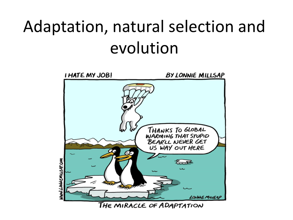 Adaptation, Natural Selection and Evolution Learning Intentions • Give the Meaning of the Term Mutation