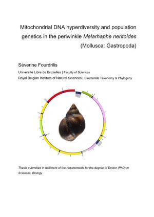Mitochondrial DNA Hyperdiversity and Population Genetics in the Periwinkle Melarhaphe Neritoides (Mollusca: Gastropoda)