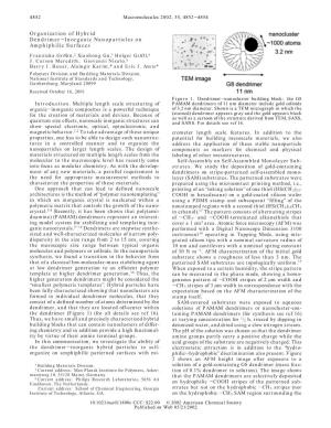 Organization of Hybrid Dendrimer-Inorganic Nanoparticles on Amphiphilic Surfaces
