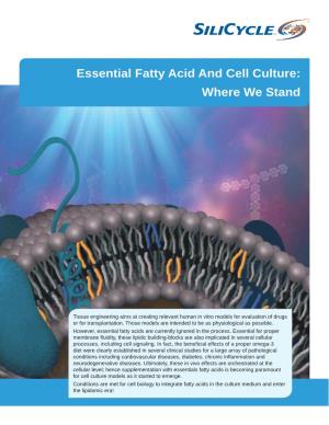 Essential Fatty Acid and Cell Culture: Where We Stand