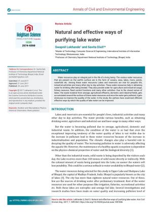 Natural and Effective Ways of Purifying Lake Water