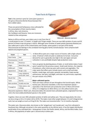 Yam Facts & Figures