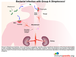 Bacterial Infection with Group a Streptococci