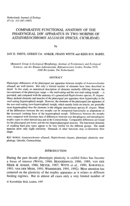 Comparative Functional Anatomy of the Pharyngeal Jaw Apparatus in Two Morphs of Astatoreochromis Alluaudi (Pisces, Cichlidae)