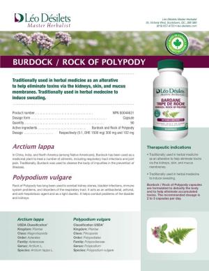 Burdock / Rock of Polypody