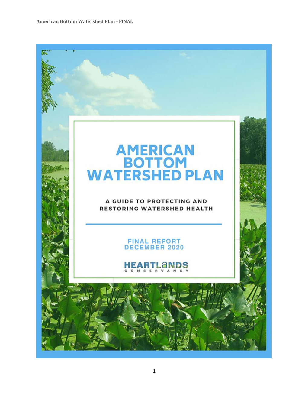 American Bottom Watershed Plan - FINAL