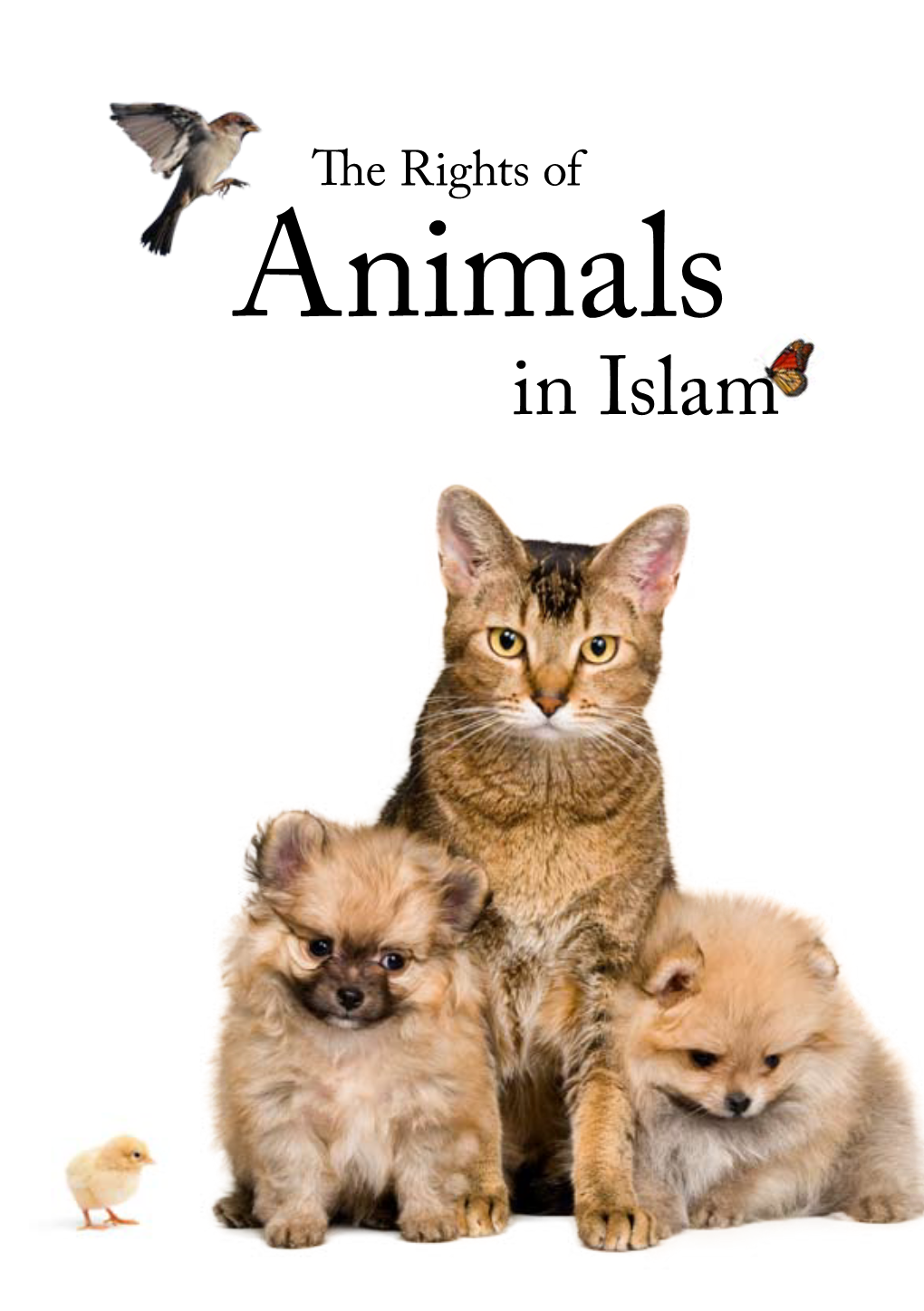 The Rights of Animals in Islam 2