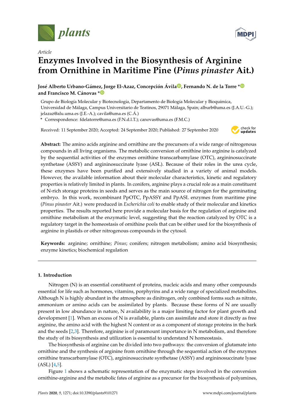 Enzymes Involved in the Biosynthesis of Arginine from Ornithine in Maritime Pine (Pinus Pinaster Ait.)