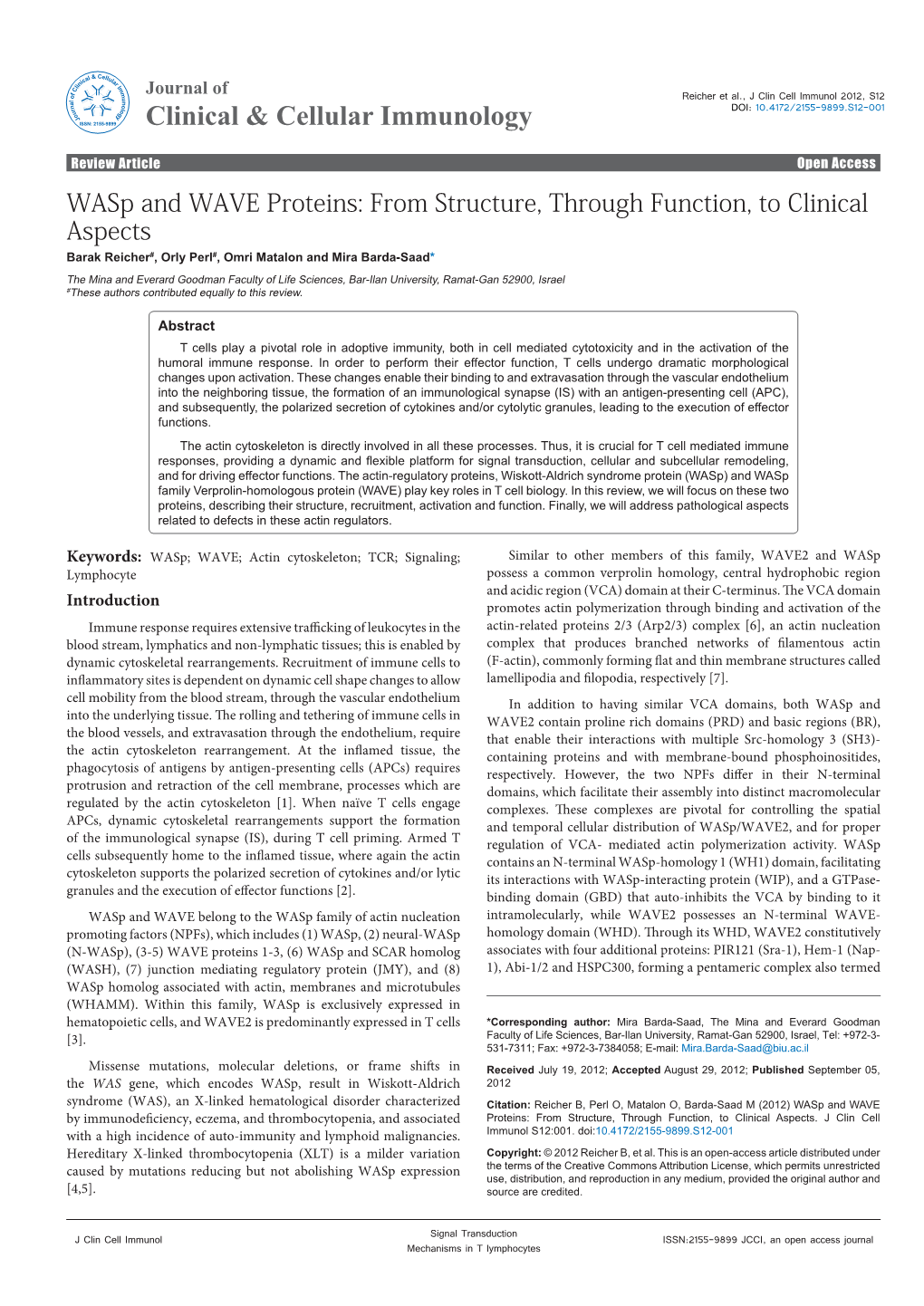 Wasp and WAVE Proteins: from Structure, Through Function, To