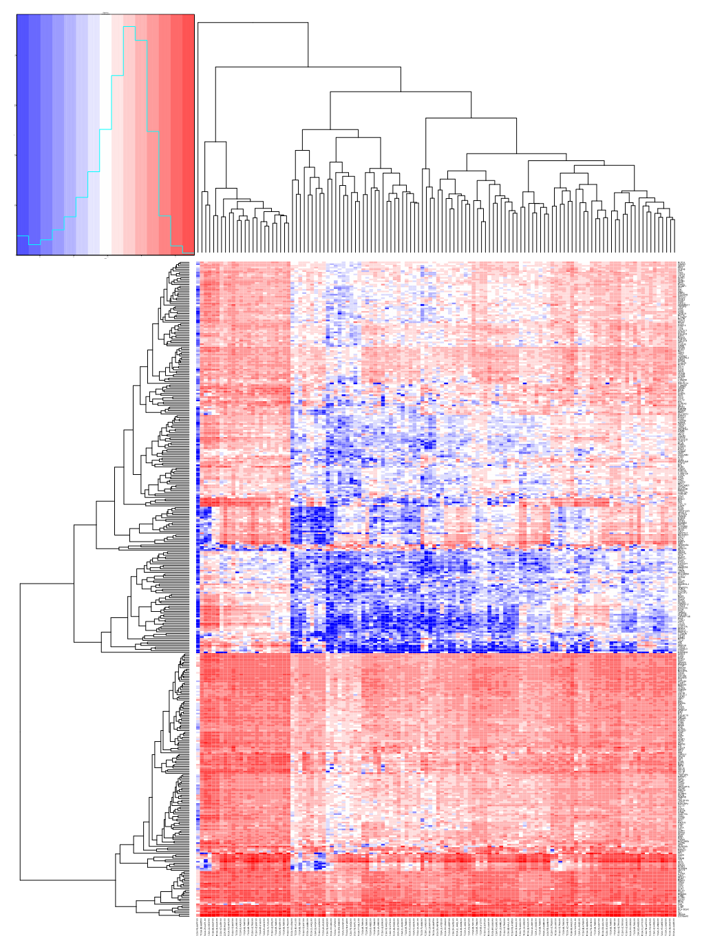 R Graphics Output