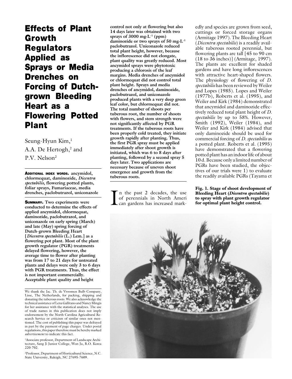 Effects of Plant Growth Regulators Applied As Sprays Or Media