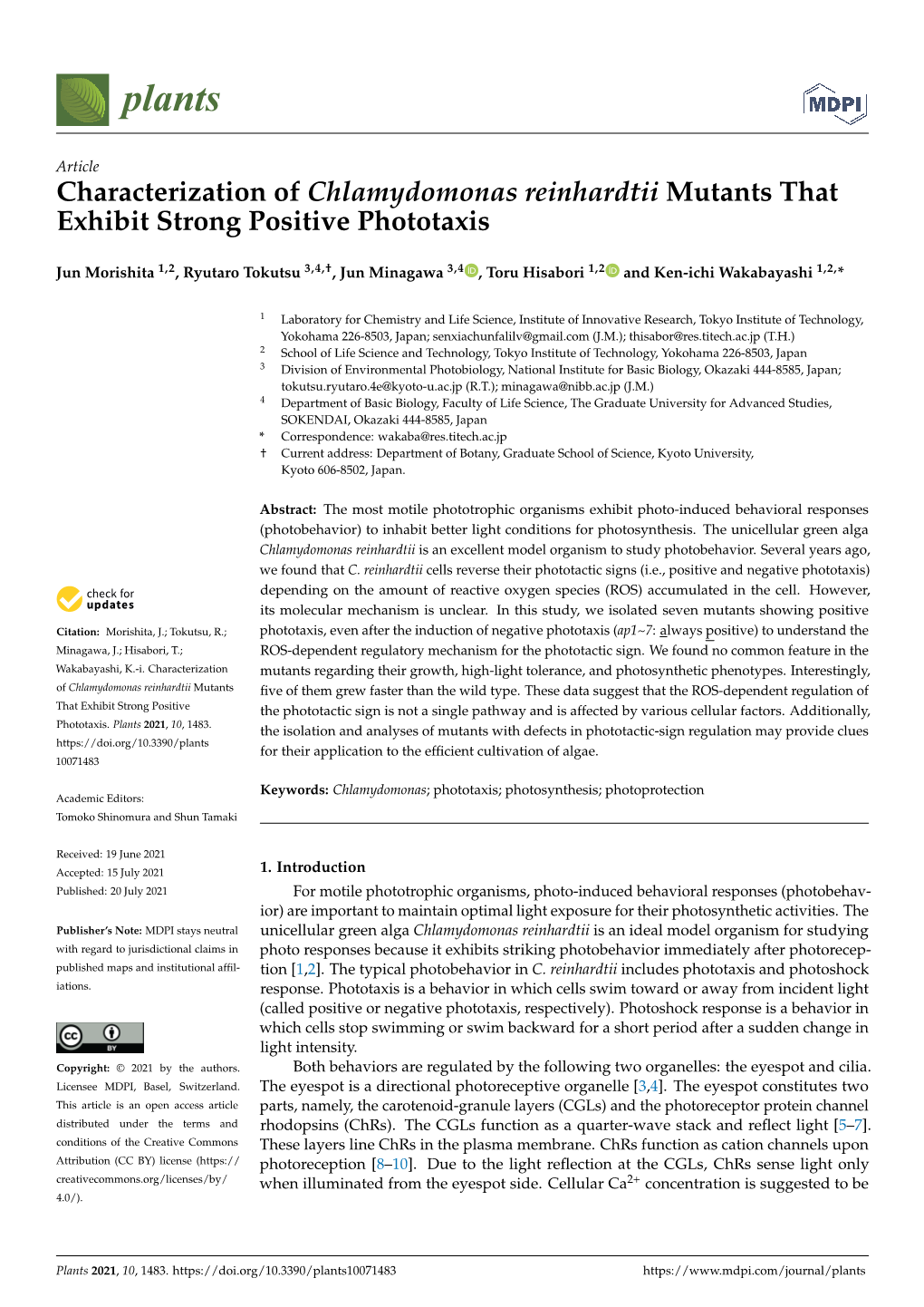 Characterization of Chlamydomonas Reinhardtii Mutants That Exhibit Strong Positive Phototaxis