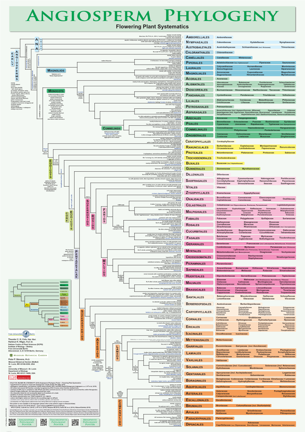 Flowering Plant Systematics