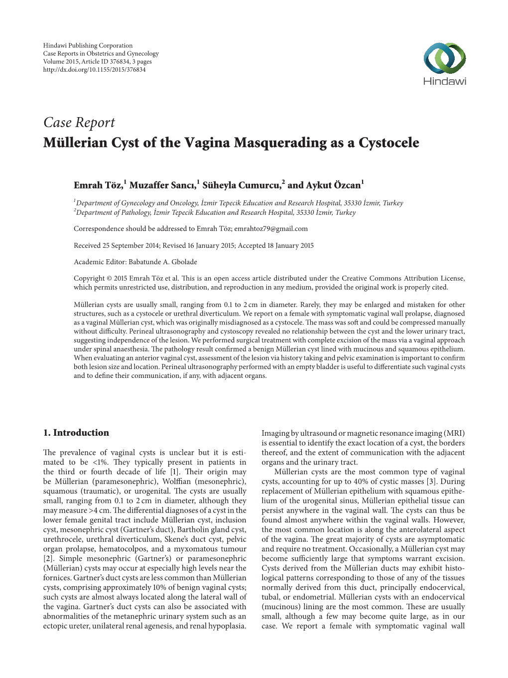 Müllerian Cyst of the Vagina Masquerading As a Cystocele