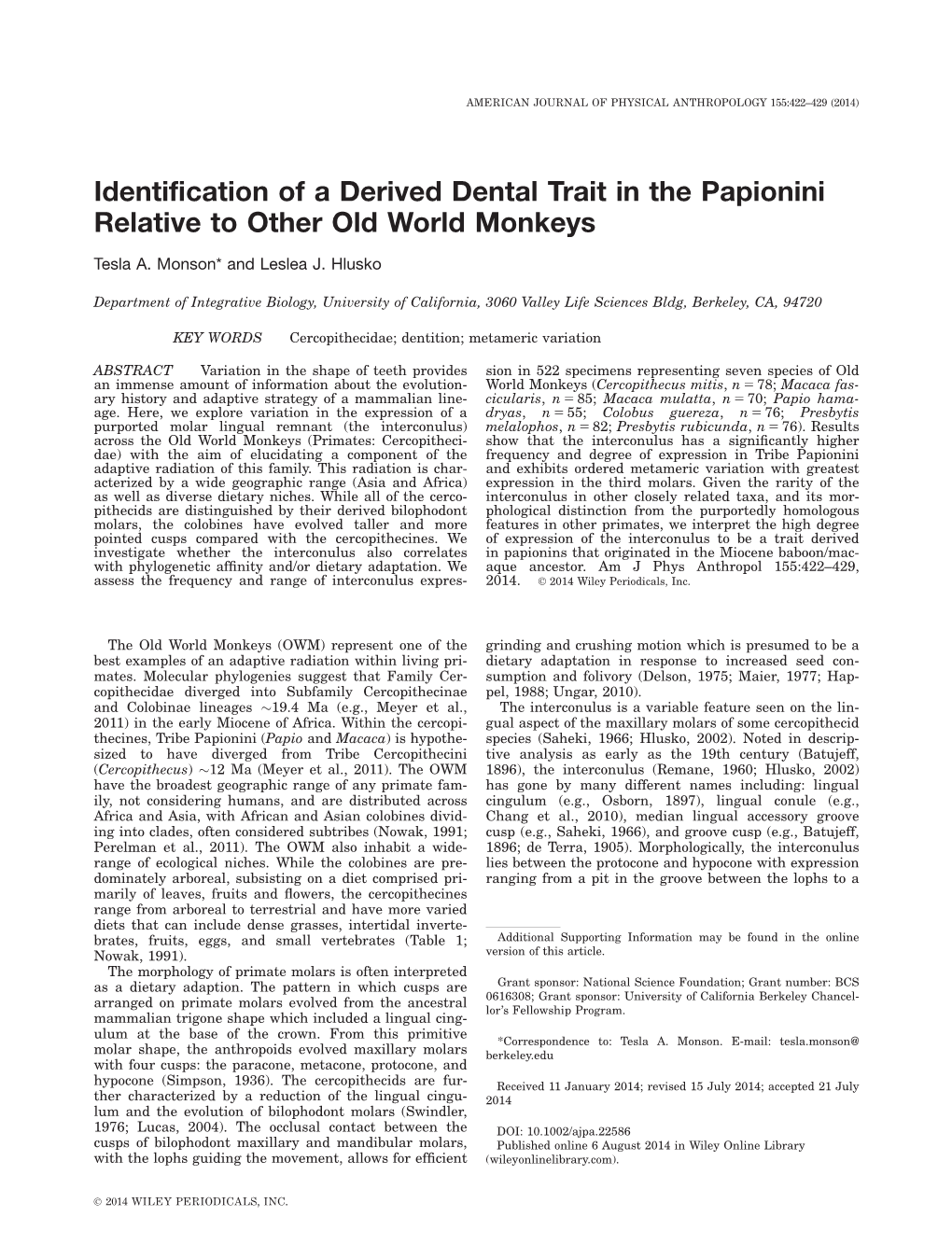 Identification of a Derived Dental Trait in the Papionini Relative to Other Old World Monkeys