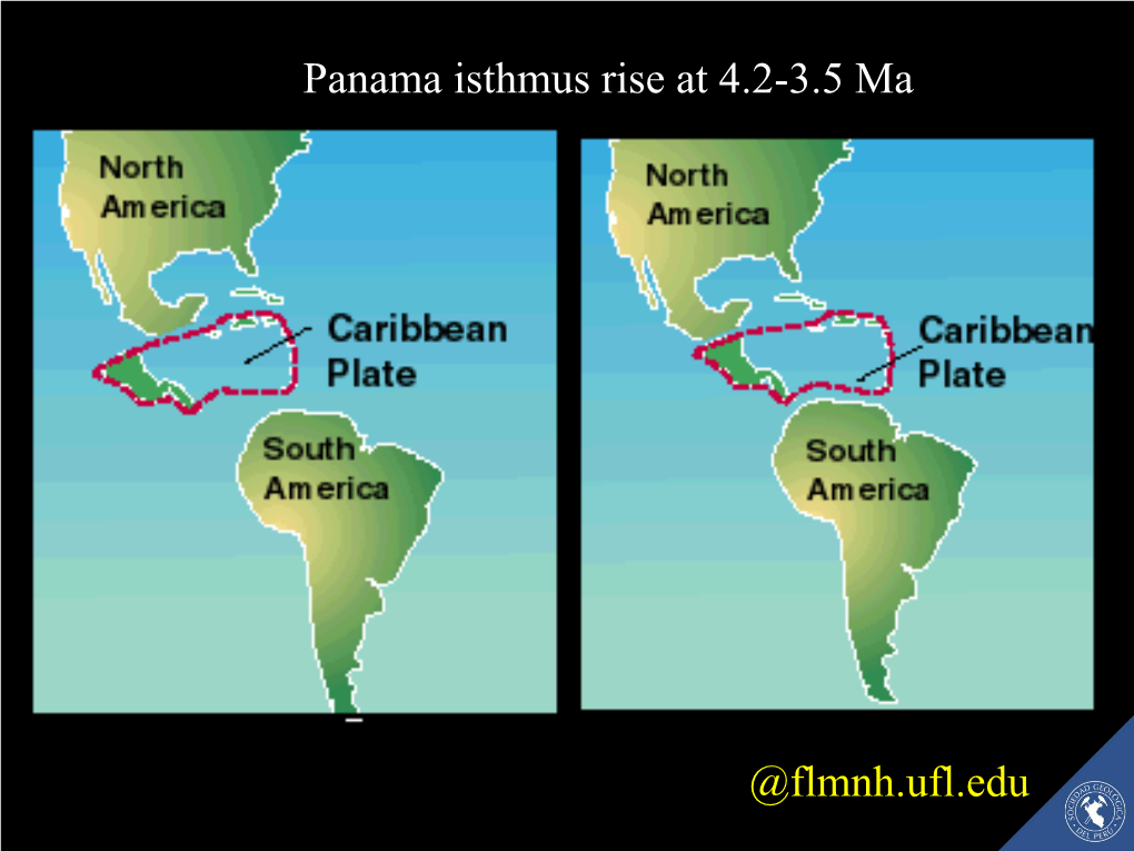 @Flmnh.Ufl.Edu Panama Isthmus Rise at 4.2-3.5 Ma