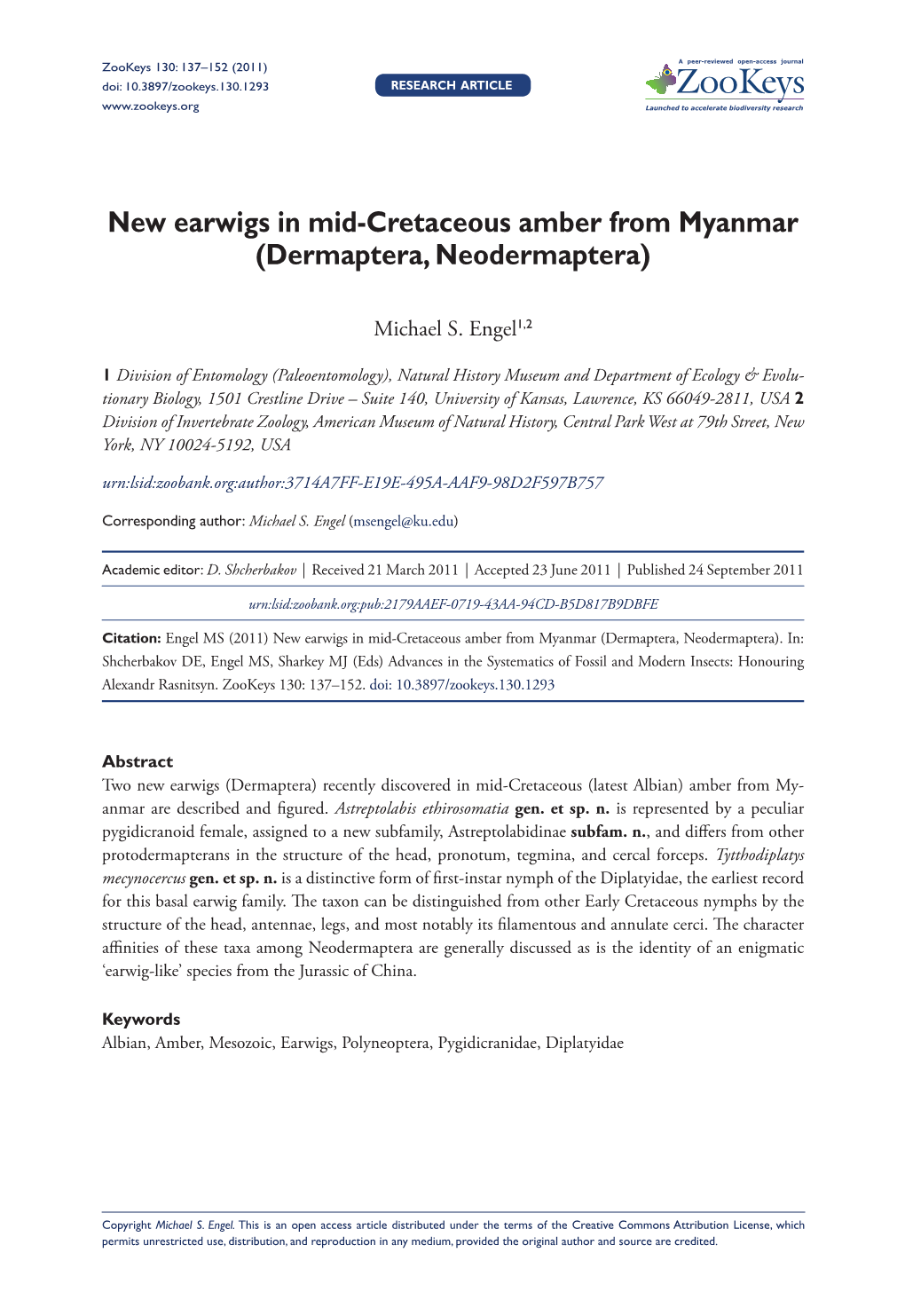 New Earwigs in Mid-Cretaceous Amber from Myanmar (Dermaptera, Neodermaptera)