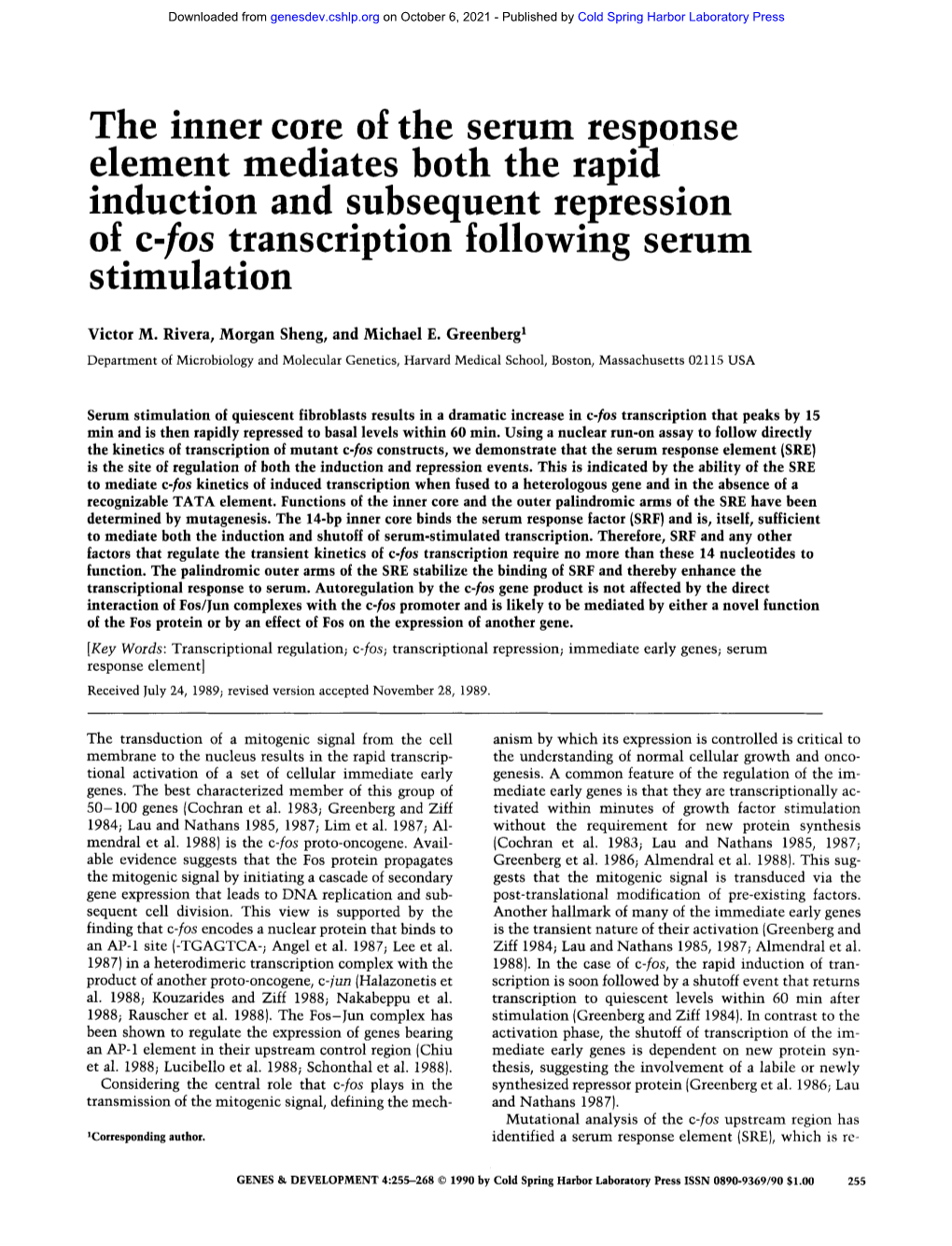 The Inner Core of the Serum Response Element Mediates Both the Rapid Induction and Subsequent Repression of C-Los Transcription Following Serum Stimulation