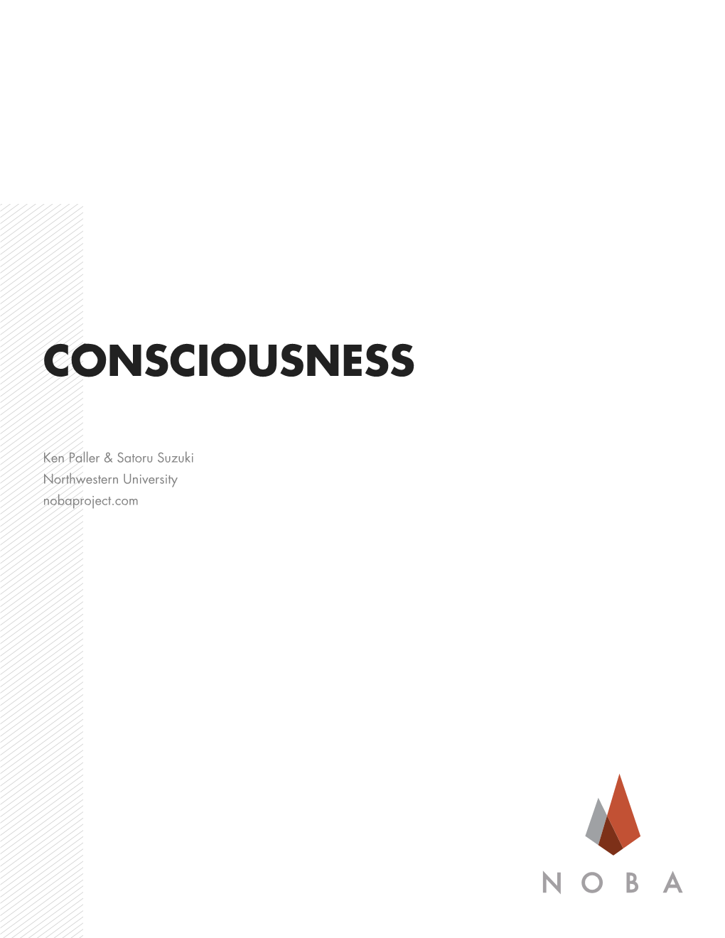 Consciousness