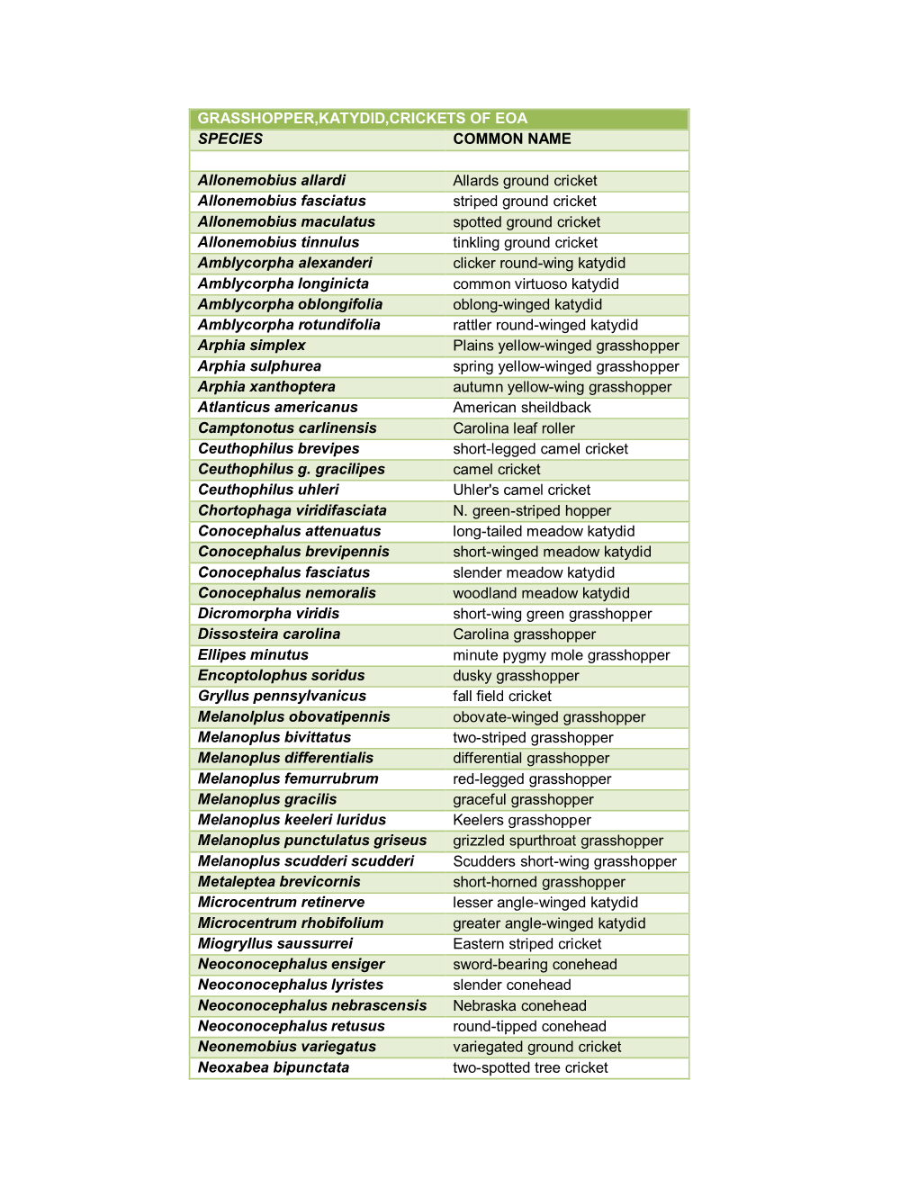 Grasshopper,Katydid,Crickets of Eoa Species Common Name